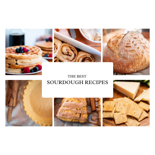 photos of sourdough recipes included in sourdough ebook