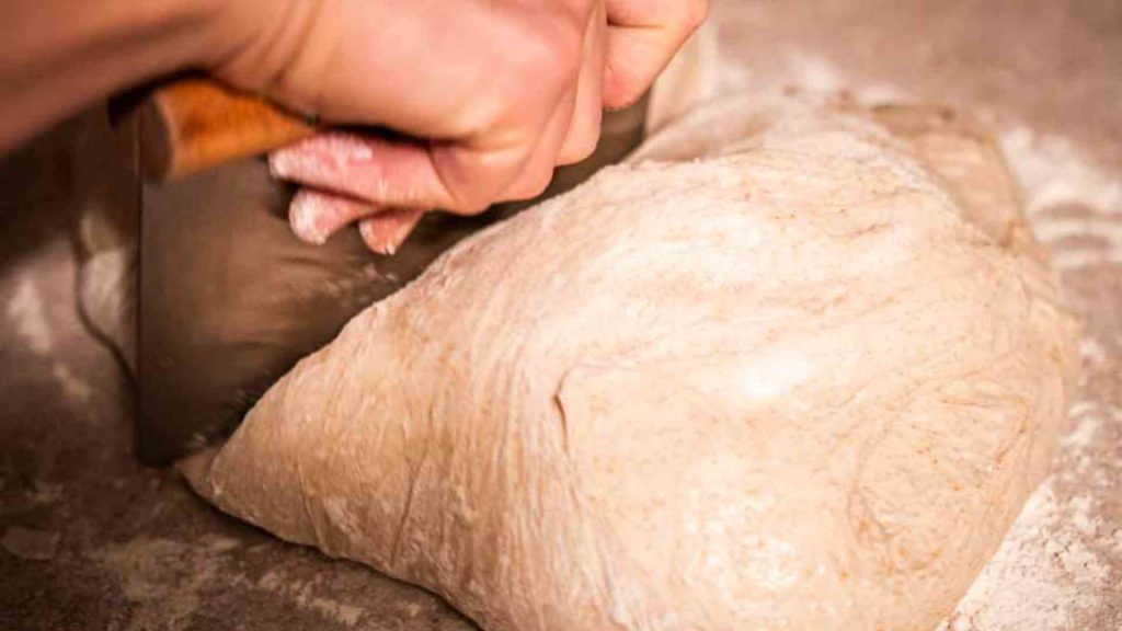 hands using a bench scraper to divide the fermented bread dough in half