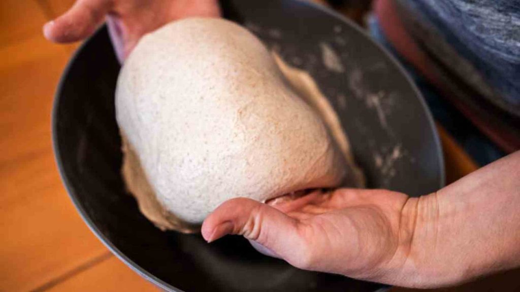 two hands shown coil folding the dutch oven sourdough bread dough