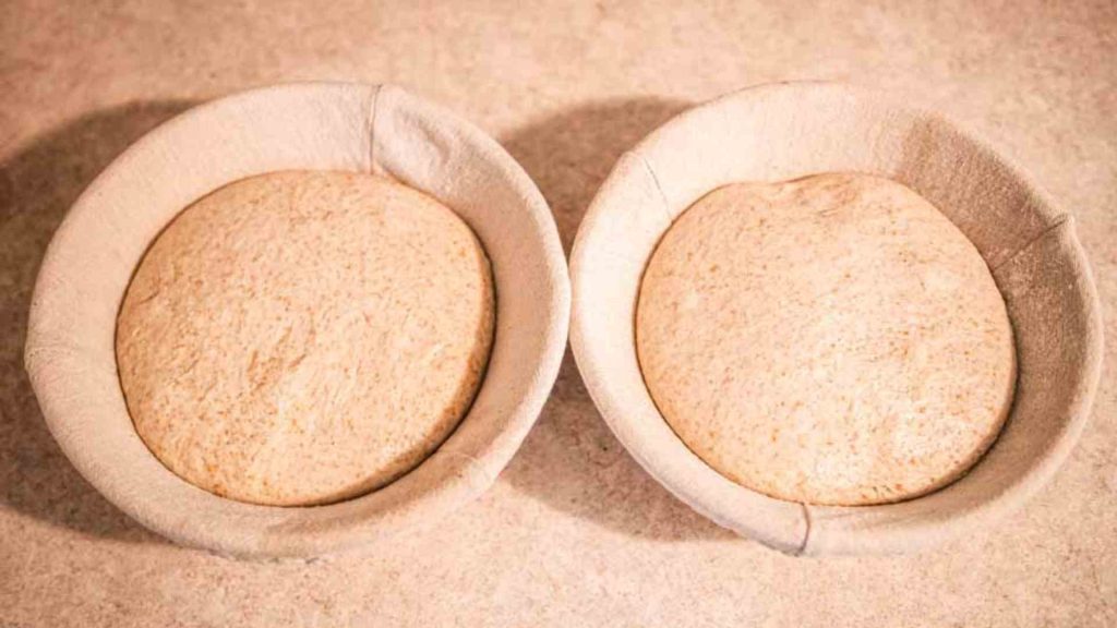 two loaves of dutch oven sourdough bread dough in banneton baskets