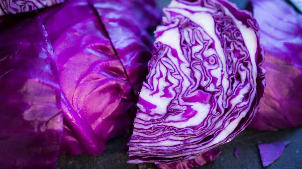 up close shot of a beautiful head of red cabbage cut open to reveal the detail inside