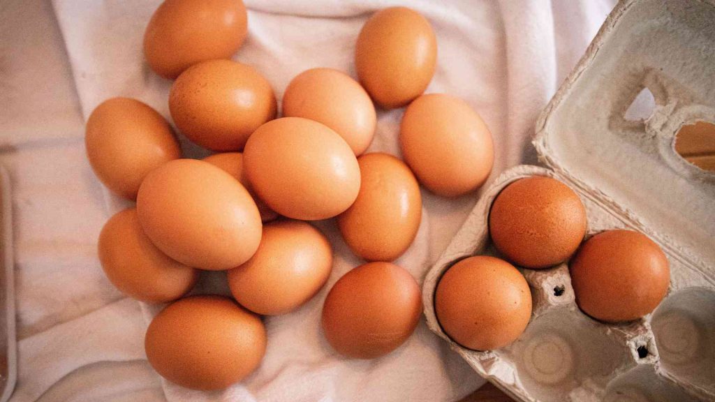 fresh clean unwashed eggs
