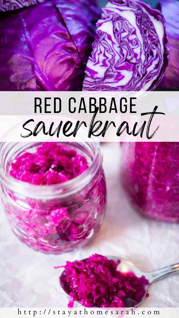 pinterest graphic for red cabbage sauerkraut