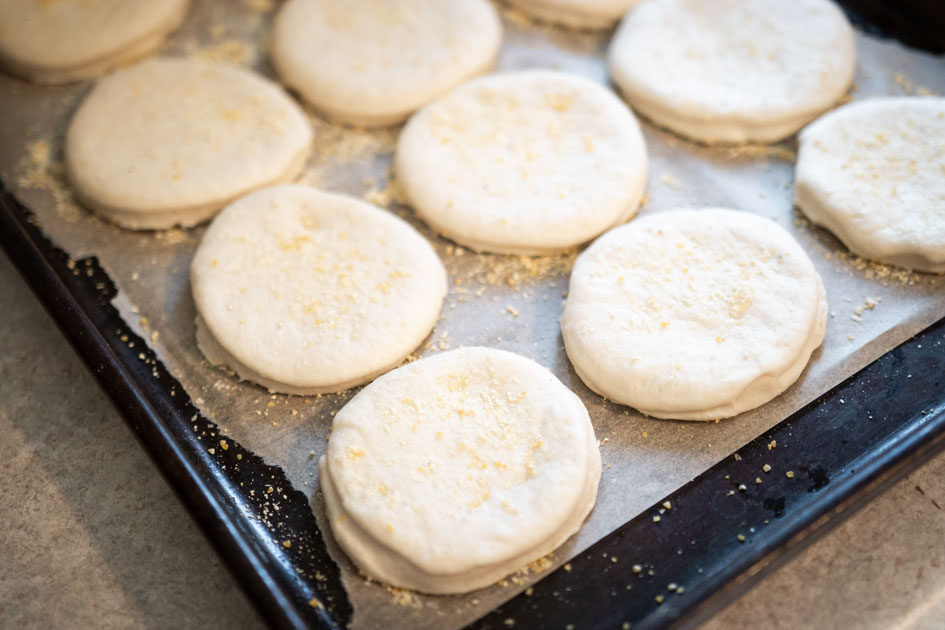 sourdough english muffin dough rising on a sheet pan