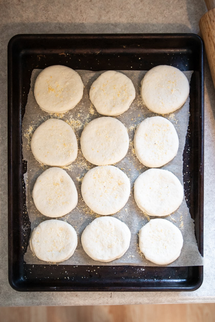 a sheet pan with sourdough english muffins dusted with cornmeal and ready to be fried