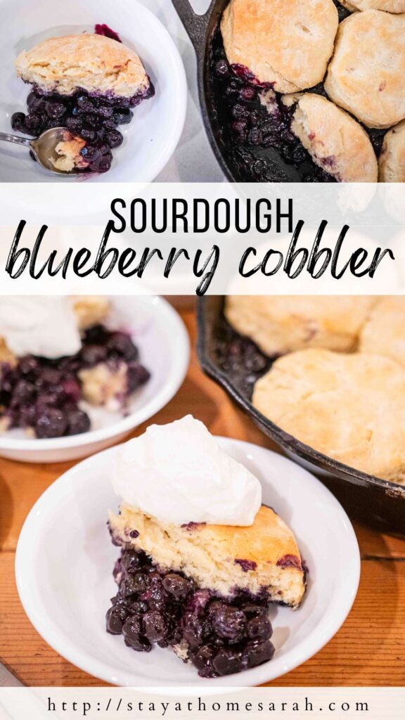pinterest graphic for sourdough blueberry cobbler
